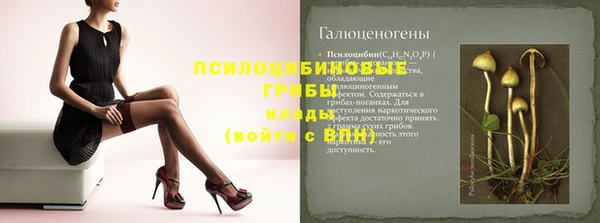 ПСИЛОЦИБИНОВЫЕ ГРИБЫ Абаза