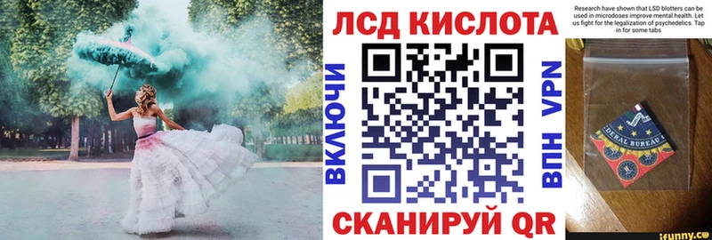 kraken как зайти  где найти   Тутаев  Наркотические марки 1500мкг 